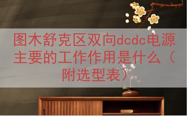 图木舒克区双向dcdc电源的工作作用是什么（附选型表）